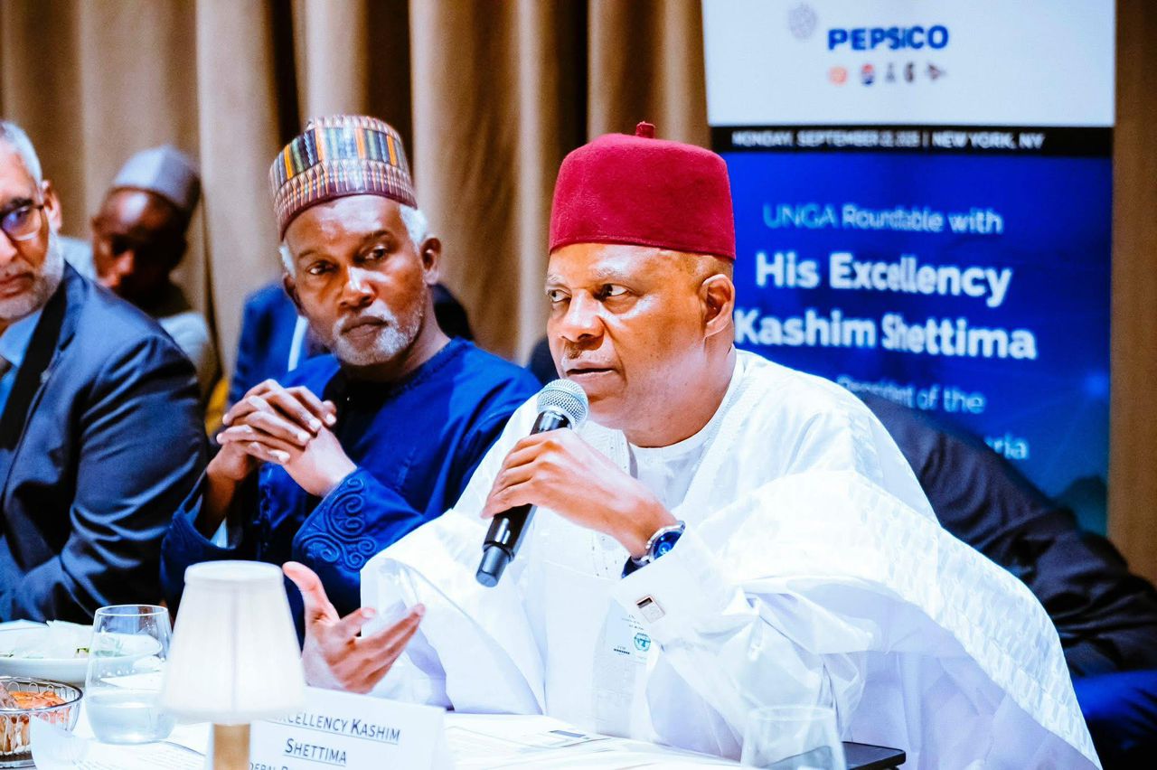 UNGA: Shettima ya tallata damar zuba jari na dala biliyan 200 a fannin makamashi a Najeriya